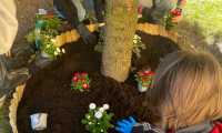 IMG-20250403-WA0014
