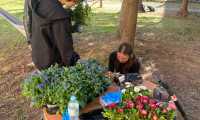 IMG-20250403-WA0017