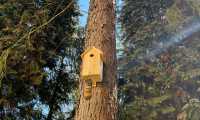 IMG-20250403-WA0021