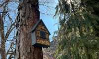 IMG-20250403-WA0022