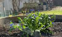 IMG-20250403-WA0024