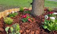 IMG-20250403-WA0027