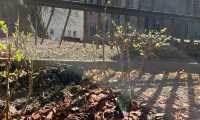 IMG-20250403-WA0028