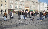 DSC0056_1
