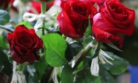 IMG_0463