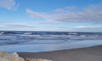 IMG_20240301_152725