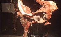 IMG-20211215-WA0030