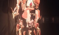 IMG-20211215-WA0034