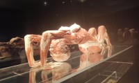 IMG-20211215-WA0041