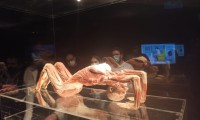 IMG-20211215-WA0043
