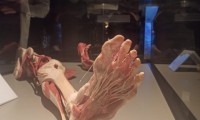 IMG-20211215-WA0045