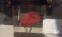 IMG-20211215-WA0046
