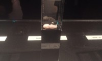 IMG-20211215-WA0048