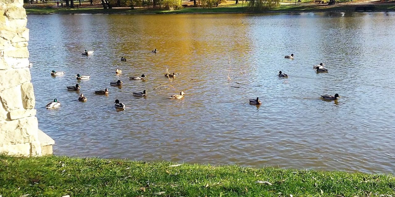 Konkurs – Matematyka w Obiektywie