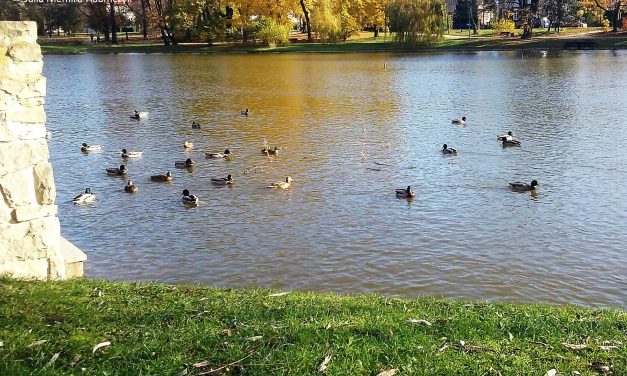 Konkurs – Matematyka w Obiektywie