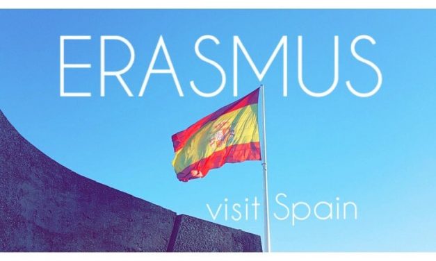 Praktyki zagraniczne 2019/2020