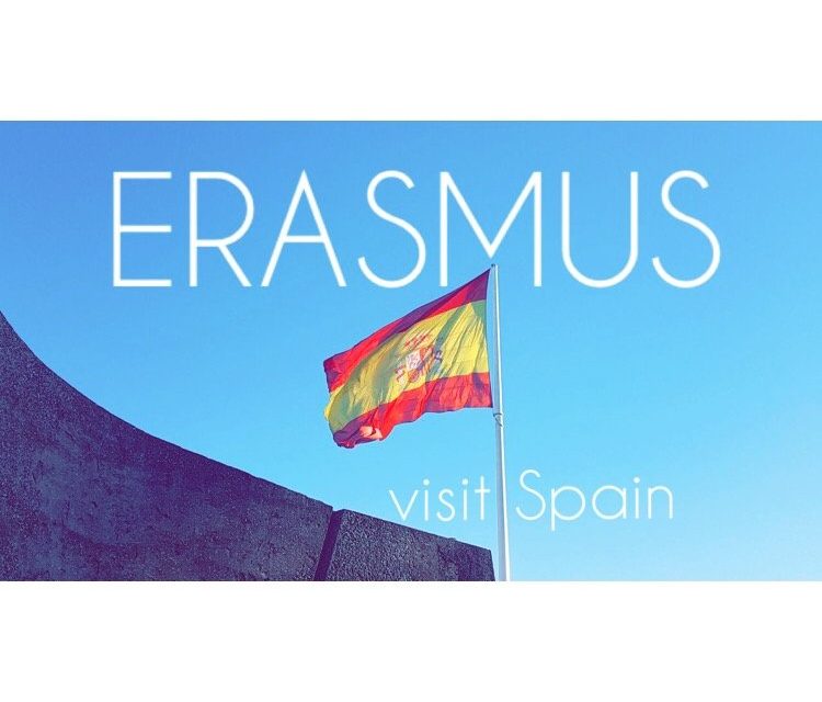 Praktyki zagraniczne 2019/2020