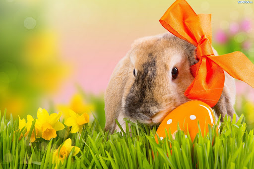 Wiosenna przerwa świąteczna