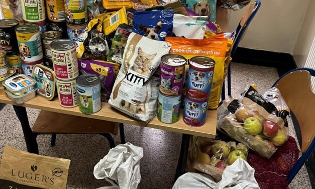 Pomoc dla przytuliska