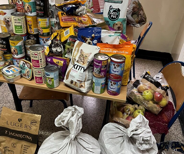 Pomoc dla przytuliska