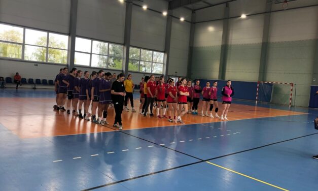 II miejsce w półfinale wojewódzkim piłki ręcznej dziewcząt