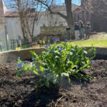 „Bohaterowie ekologicznej rewolucji – Zielone Jutro zaczyna się Dziś”