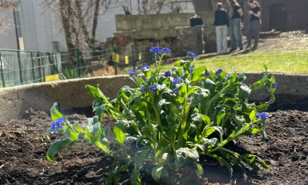 „Bohaterowie ekologicznej rewolucji – Zielone Jutro zaczyna się Dziś”